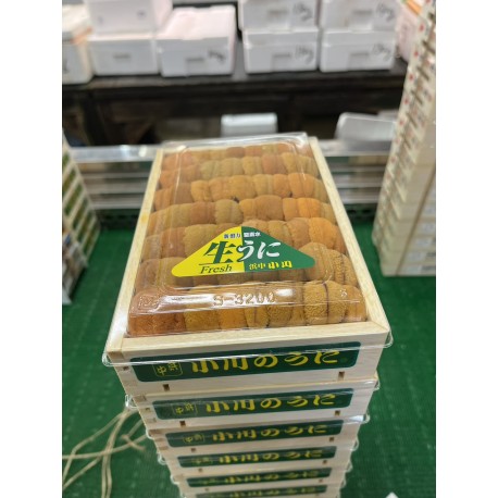 馬糞雲丹弁当　赤並