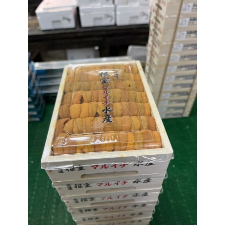 白雲丹弁当箱 白並