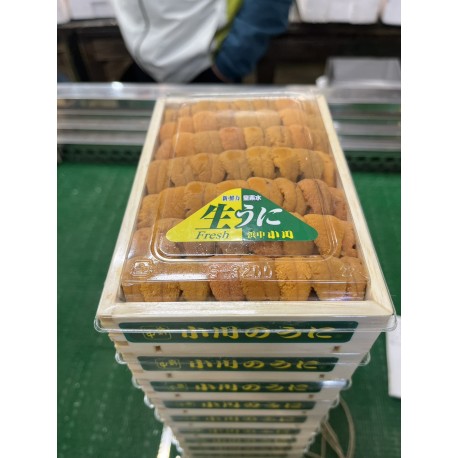 白雲丹弁当箱 白並