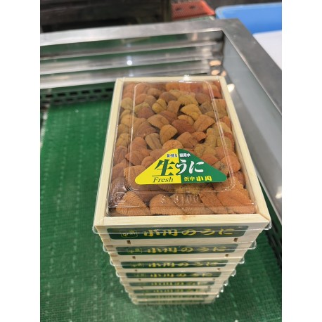 馬糞雲丹下駄　木村水産