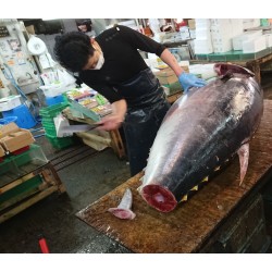 畜養本鮪魚腹中2番天身付2kg日振島