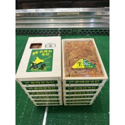 馬糞雲丹下駄　木村水産