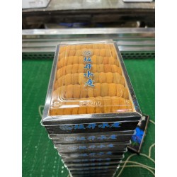 馬糞海胆弁当箱　坂井水産