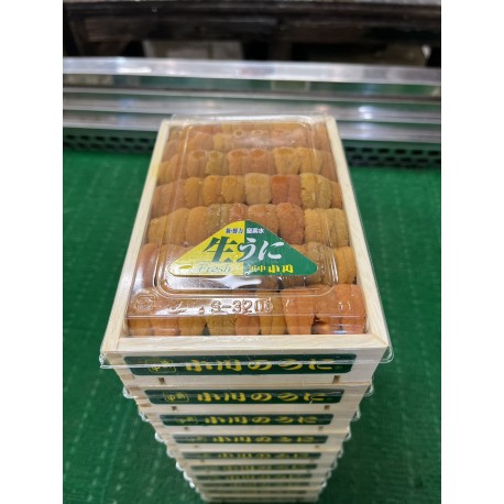 白雲丹弁当箱 白並