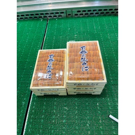 白雲丹弁当箱 白並