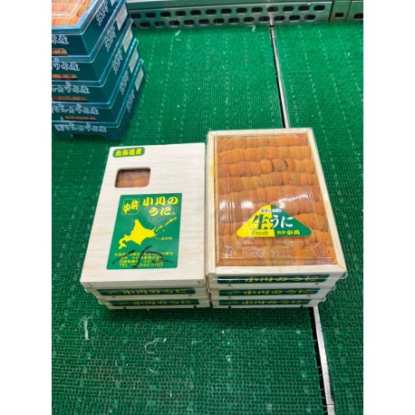 馬糞雲丹弁当箱　赤BARA