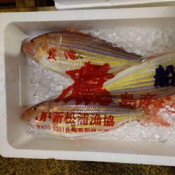 特大糸撚鯛800g長崎壱岐