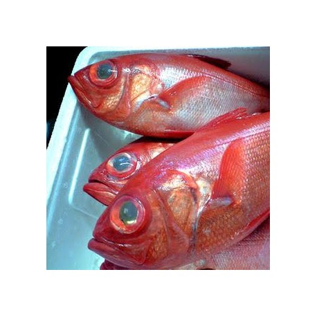 地金目鯛1.2㎏特上品