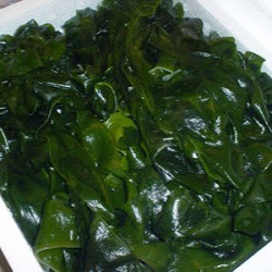 生若芽500g包三陸海岸