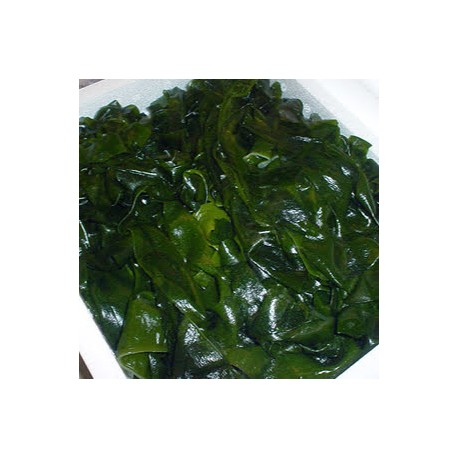 生若芽500g包三陸海岸