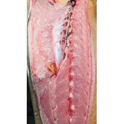 特大天然鰤四分一肚3kg北海道