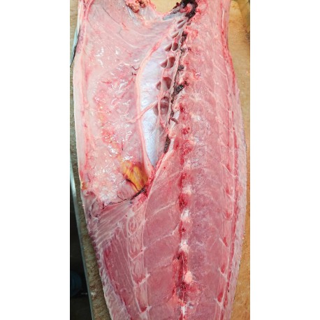 特大天然鰤四分一肚3kg北海道