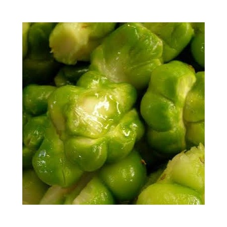 手作搾菜漬（500g）