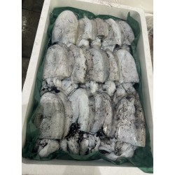 墨烏賊250g淡路島